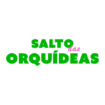 LOGO-SALTO-QUADRADA